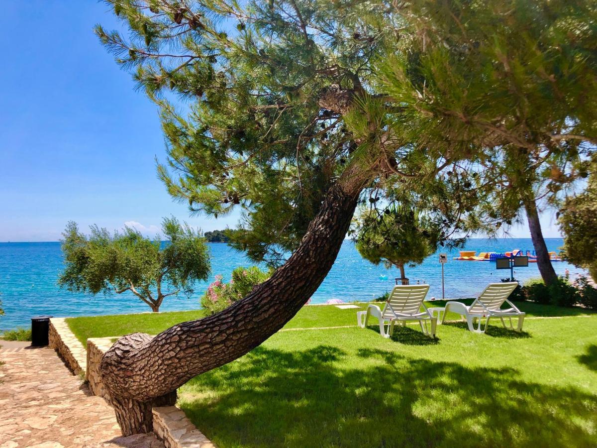 Al Mare Apartments Rovinj Zewnętrze zdjęcie